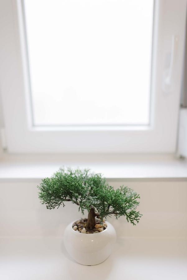 Ruza Apartmani Zara Esterno foto
